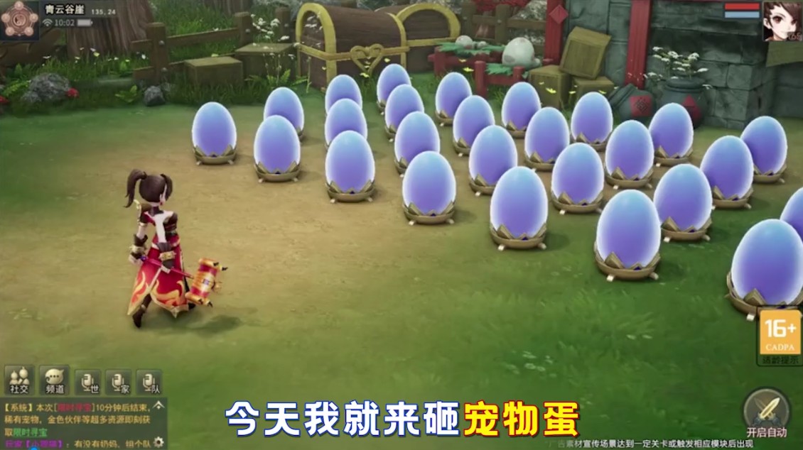 万灵仙引 万灵仙引