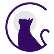夜猫阅读小说软件 1.3 安卓版