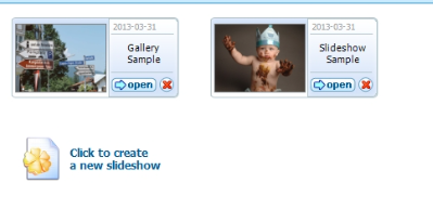 电子相册制作软件ThunderSoftSlideshowFactory v6.1.0免费版