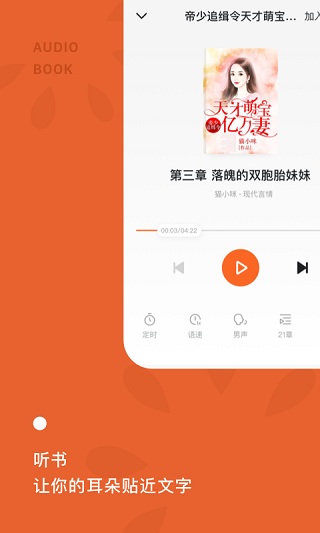 番茄小说vip无广告版