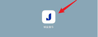 椒盐音乐图片3