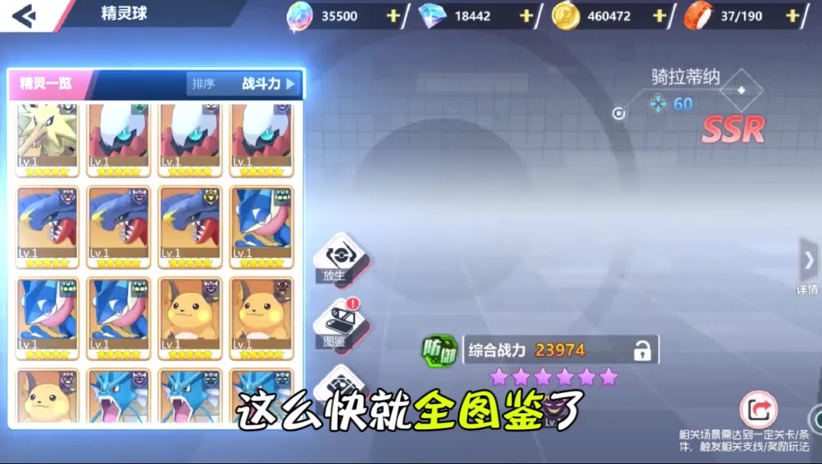 宠物新世代游戏 宠物新世代游戏