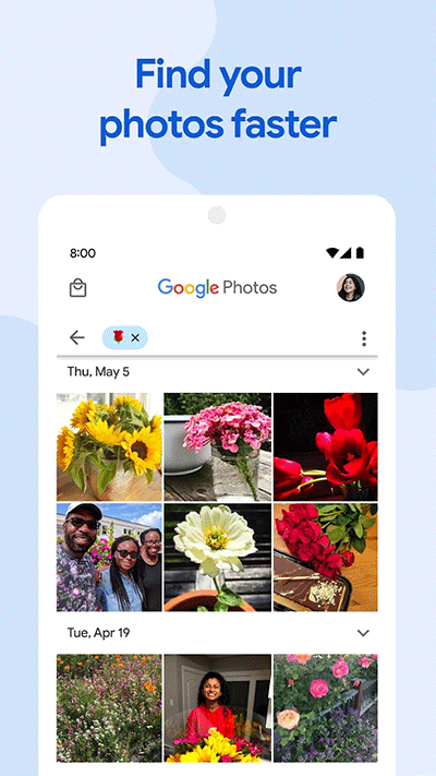 google相册官方版