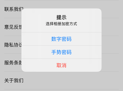 1606885250680541.png 私人相册管家大全 ios版