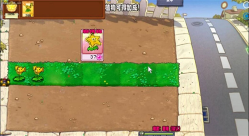 植物大战僵尸杨桃版