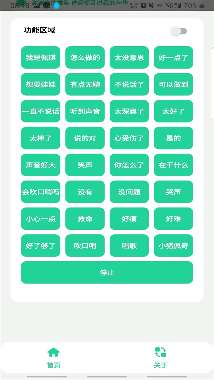 佩奇盒