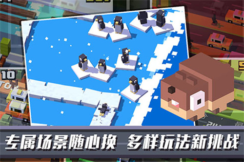 天天过马路