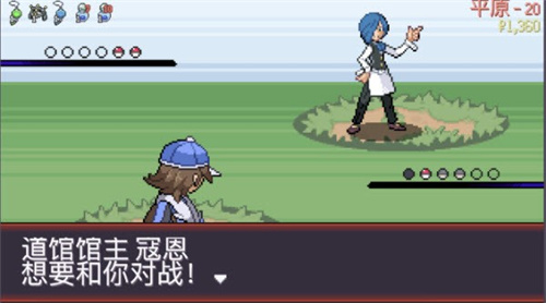 Pokerogue手机版