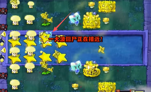 植物大战僵尸杨桃版
