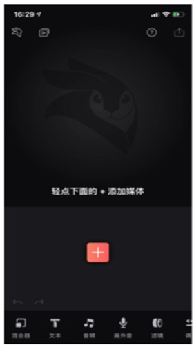 videoLeap