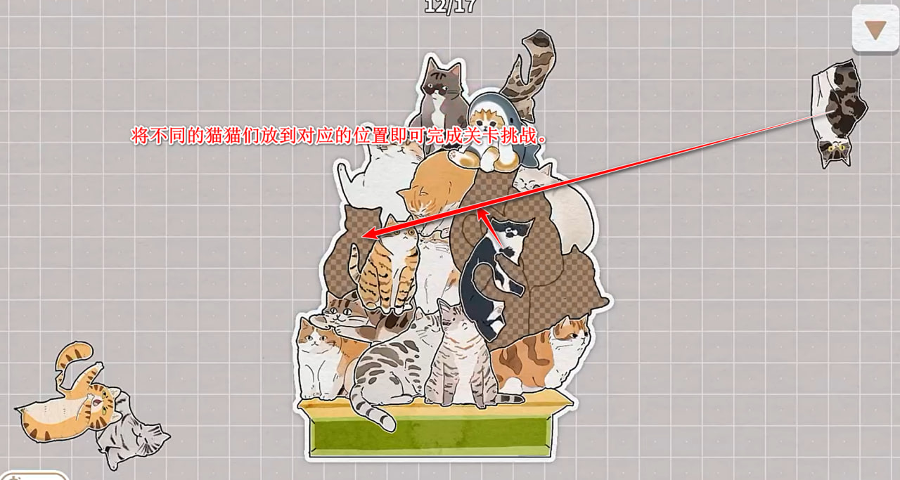 挤在一起的猫猫 挤在一起的猫猫