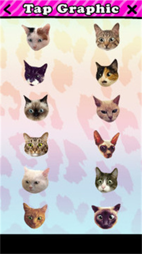 catwang