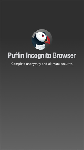 puffin浏览器安卓最新版