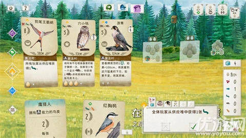 展翅翱翔