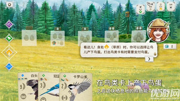展翅翱翔