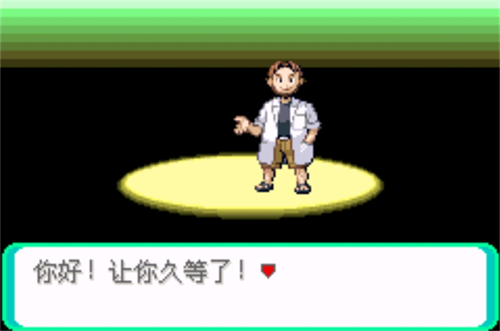 口袋妖怪日月宝石八木特别篇