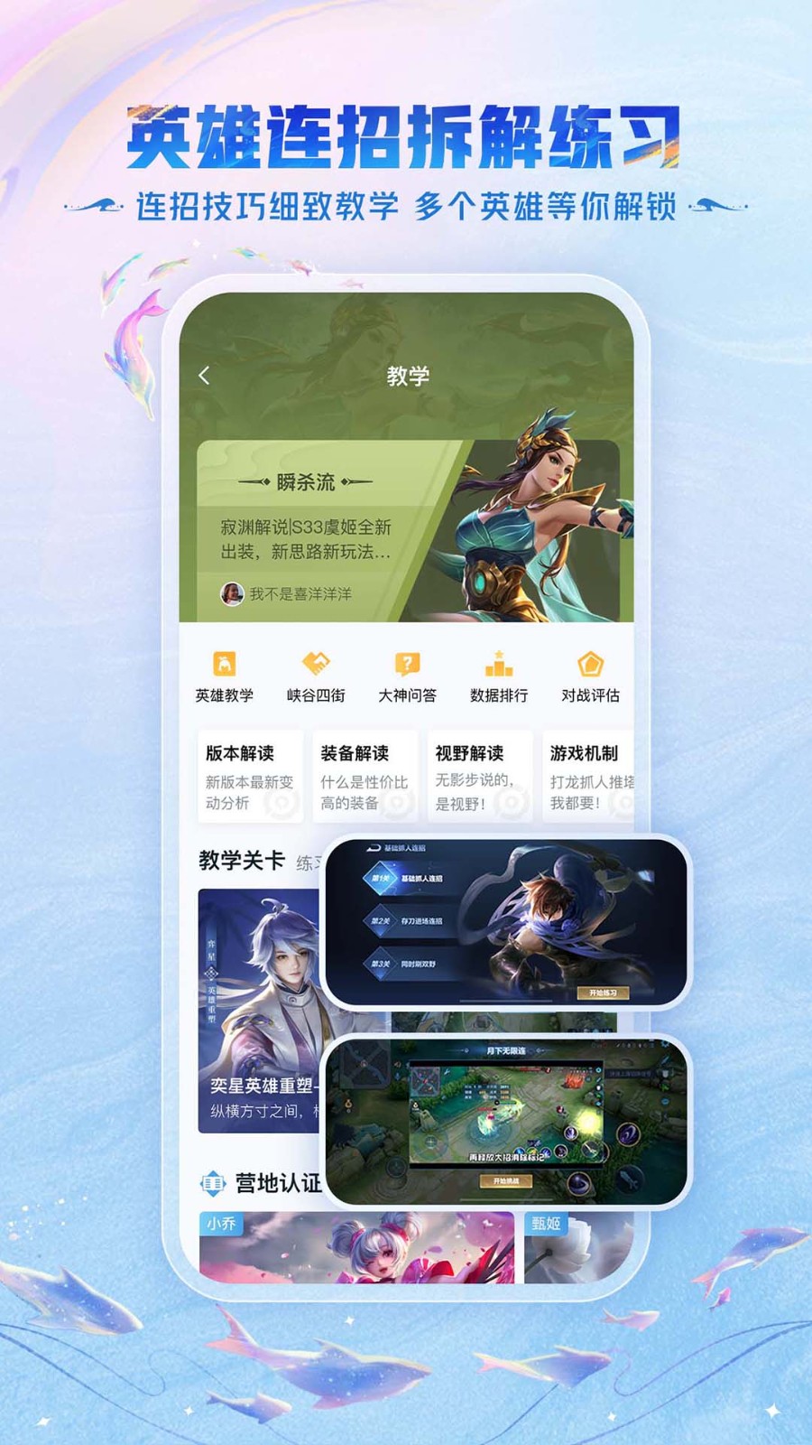 王者助手