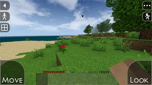 Survivalcraft2