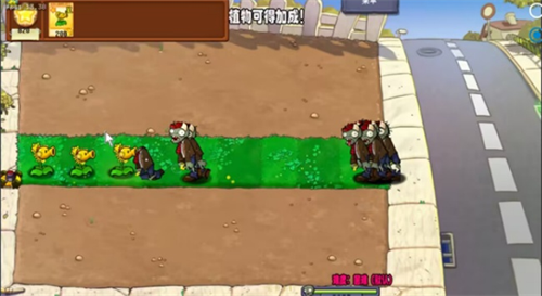 植物大战僵尸杨桃版