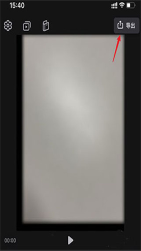 videoLeap
