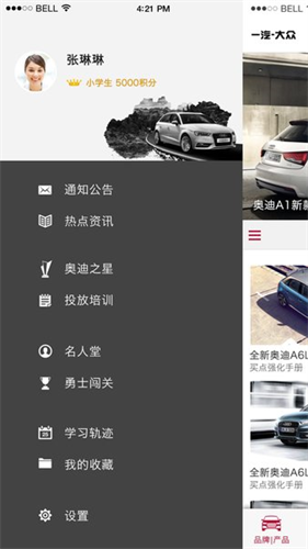 奥迪e训