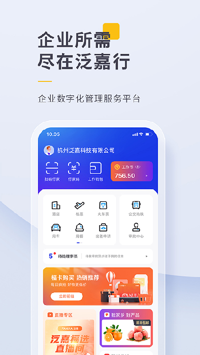 泛嘉行