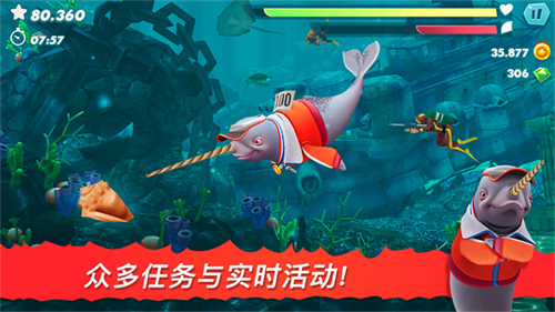 饥饿的鲨鱼进化