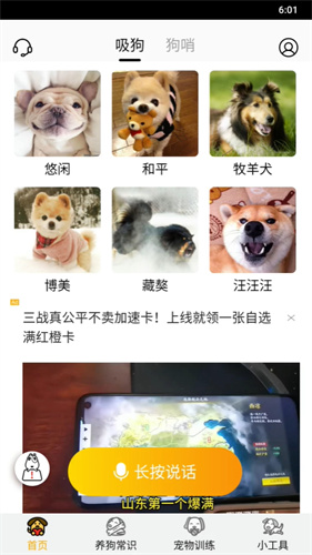 狗语翻译器