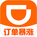 滴滴车主