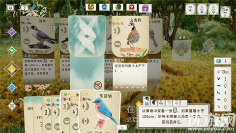 展翅翱翔