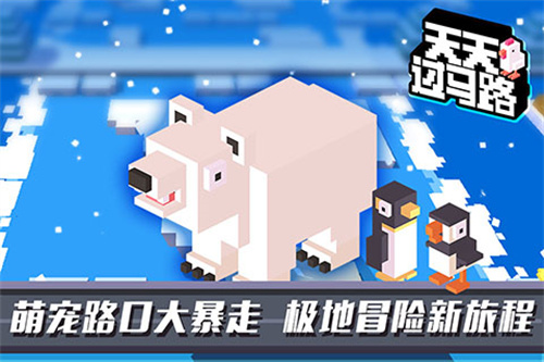 天天过马路