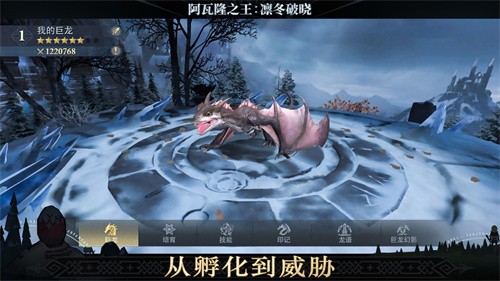 阿瓦隆之王官服