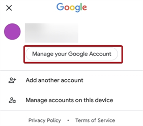 PLAYSTORE