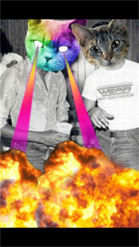catwang