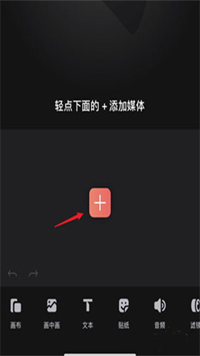 videoLeap