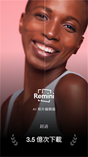 remini油画
