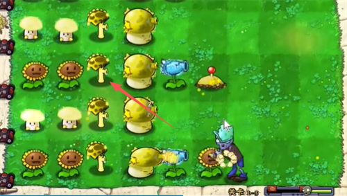 植物大战僵尸杨桃版