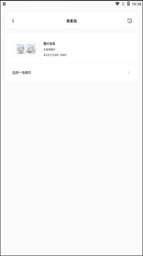 迷你兔子
