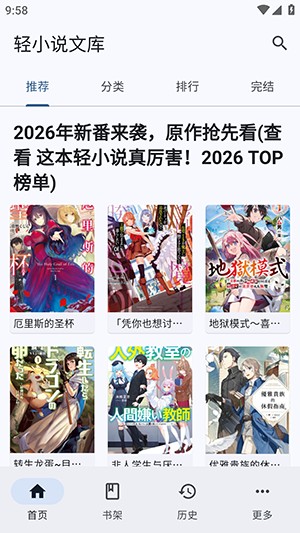 Wild轻小说
