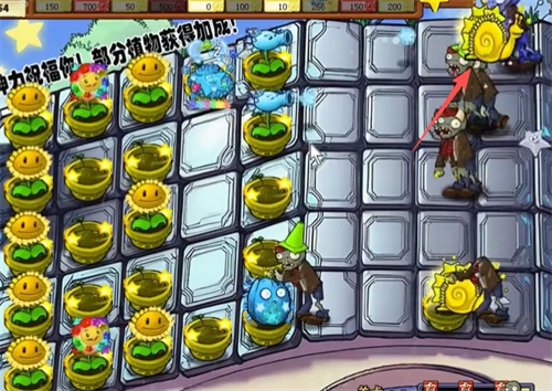植物大战僵尸杨桃版