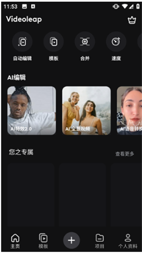videoLeap