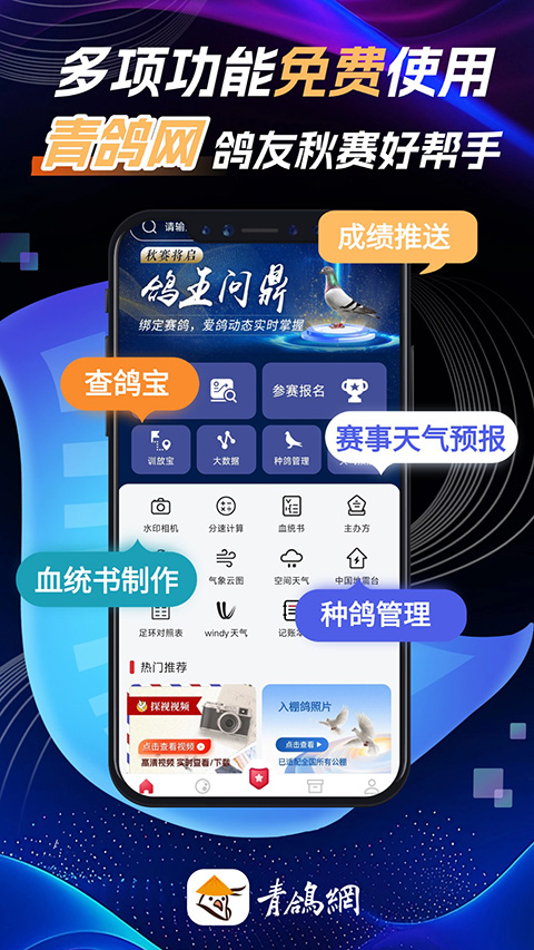 青鸽网app