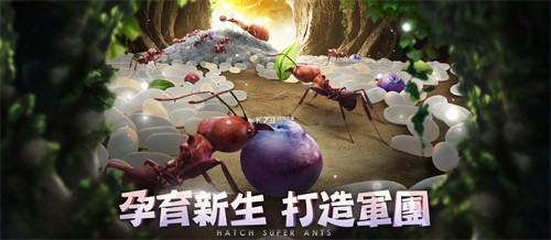 小小蚁国台服