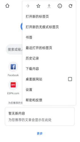 谷歌浏览器外贸版