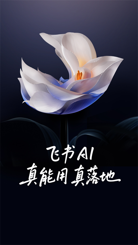 飞书app