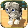 猫咪模拟器