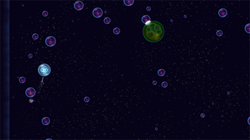 星噬