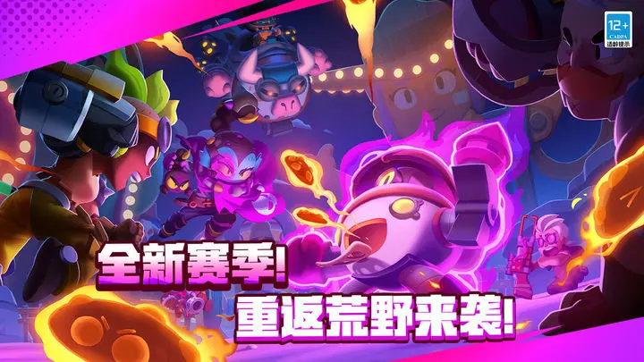 荒野乱斗私版