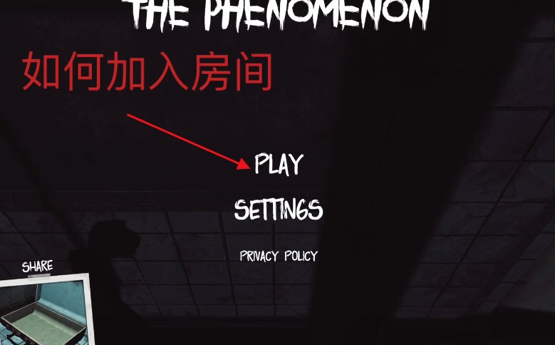 The+Phenomenon