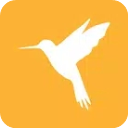 小黄鸟App(Reqable)